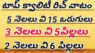 మంచి క్వాలిటీ లు పిల్లలు 91773 04655 #khrfarms #chicks #chicken