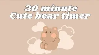 🐻🍯30 minute cute bear timer🍯🐻