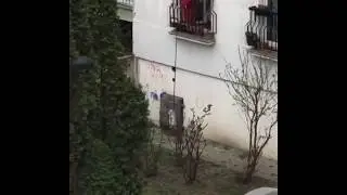 Comment promener son chien pendant le confinement
