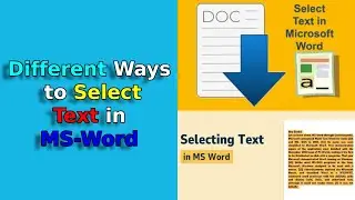 How to Select Paragraphs, Sentences & Words in MS Word | कंप्यूटर में टेक्स्ट कैसे सेलेक्ट करें?