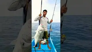 Big GT Fish Caught in the Middle of the Sea! 🌊🎣 | Fisherman Catches Giant GT Fish with Hook