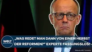 FRIEDRICH MERZ: 