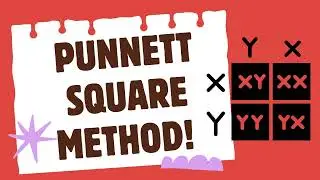 Polynomial Review | Expanding Using the Punnett Square Method (Algebra 2 Mid-Unit 2 Test Prep)