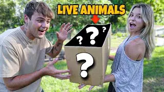 I got SURPRISED with *NEW* ANIMAL at My FARM!!