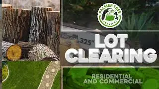 Boston&rsquo;s trusted tree care experts!
