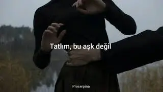 Asaf avidan - lost horse (T&uuml;rk&ccedil;e &Ccedil;eviri)