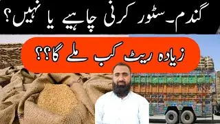 Wheat Price 2024 in Punjab || Wheat Price increase || Bilal Kanju Official