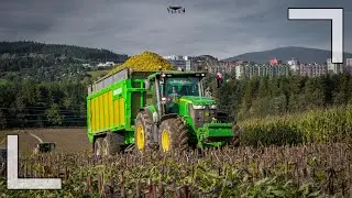 🌽SIL&Aacute;ŽE 2023|KUKURYDZA NA KISZONKĘ 2023 - ORAGRO s.r.o. & AgriMar Agroslužby | Claas Jaguar 870