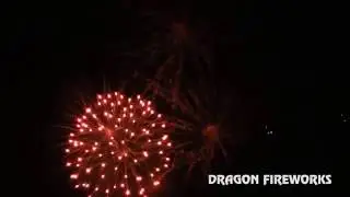 Aerial Display Shells Dragon's Aerial Symphony Coco