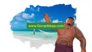 Discover the Best Caribbean Vacation Deals with GoCaribbea for Winter Holidays 2024