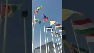 Flags of participants countries in Expo 2020 Dubai