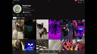 &ldquo;Squidman, you need to see this&rdquo;