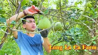 Country life - life with nature | Long Ca Farm Channel