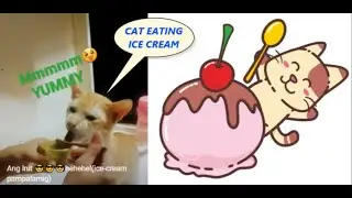 Ang Init 😎😎😎hehehe!(ice-cream pampalamig)