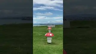 Devonport / Mount Victoria🍄
