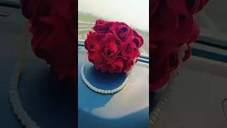 Rose Day Special #roseday #selflove #diybag #shorts
