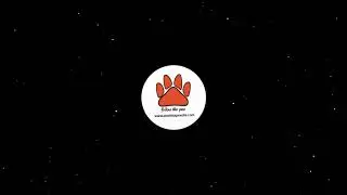 Intro 002