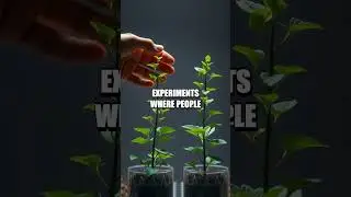 Whisper to Plants Myth Debunked
