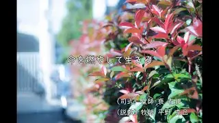 2023年11月26日主日礼拝「命を燃やして生きる」