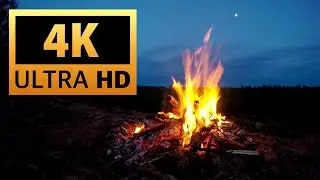 Winter Fireplace 4K (2 HOURS). Fireplace with Crackling Fire Sounds. Crackling Fireplace 4K UHD