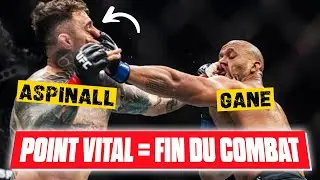 GANE vs ASPINALL: The eye-poke that reveals the real difference between MMA and self-defense