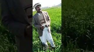 NARC BIOZOTE MAX ( BIO FERTILIZER ) BACTARIAL FERTILIZER