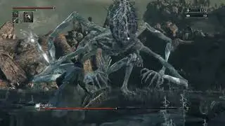 Bloodborne, how to defeat Amygdala.