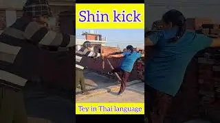 🔥 The Most Dangerous Martial Art &ndash; Muay Thai! | Shin Kick Power 💥 | Girl Power 🇮🇳..🥊