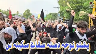 Pashto Noha || Dasta Saqye Sakina s.a || Azadari Jafria parachinar