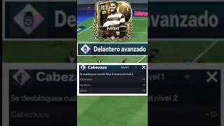 COMO ENTRENAR A TUS 