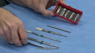 A Guide to Surgical Forceps: Types, Uses, and How to Identify Them