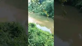 A nice please in the Assam like it November 17, 2021