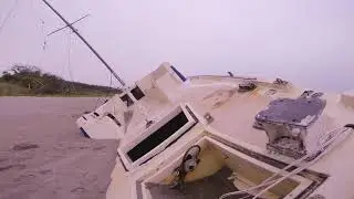 catchsurf log shred sesh