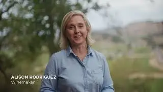 Silverado Vineyards Terroir - Part 2