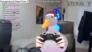 [WINGCAM] I'M BACK FROM THE CONVENCE STORE + Game