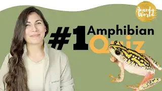 AMPHIBIAN CALL QUIZ PART 1 - Your Guide to Guide for Field Guide Students