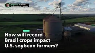 Record Brazilian Soybean Production Will Draw Attention From Importers.