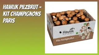 AVIS (2026) : Hawlik Pilzbrut - Kit Champignons Paris. D&Eacute;TAILS