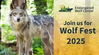 Join us for Wolf Fest 2025!
