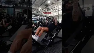 1 Hour: Leg Day Workout 🔥 #workout #legday #legworkout #workoutroutine #training #gymmotivation