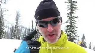Julbo Trek Sunglasses