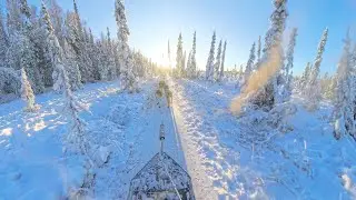 Alaska Husky Adventures 360 Video Alaska - The Ride Front Row -  Part 4
