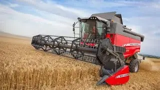 MASSEY FS25 HASAT YAPILIR #fs25 #farming #oyun #masseyferguson