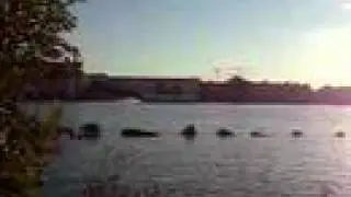 Tragfl&auml;chenboot Donau Wien Donauinsel / Hydrofoil Danube