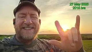 6 More Hogs Over 2 Nights