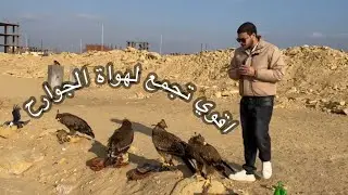 	أقوى تجمع لمحبي العقبان وتدريب العقبان في مكان واحد🦅