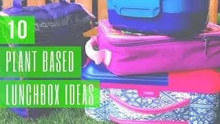 10 Vegan/Plant Based School Lunch Box Ideas that are Sure to PLEASE your Kids!