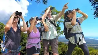 AMAZING Birds To See In Jacó, Costa Rica.