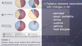 Nutrition Through the Ages: From Paediatrics to Teens to Pregnant Women and Aging Adults