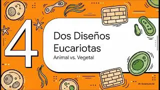 Cap 3. C&eacute;lula procariota, eucariota, animal y vegetal